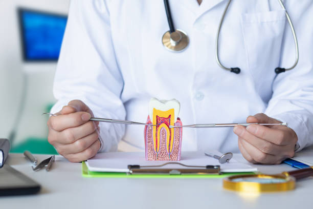 Best Dentist for Tooth Abscess  in Marcus Hook, PA